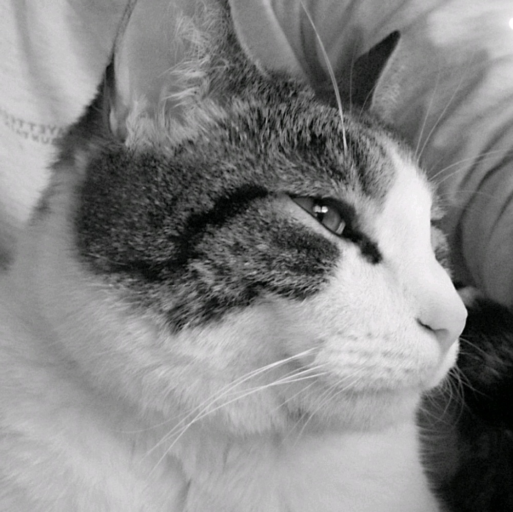 Meet your Posher, Ester